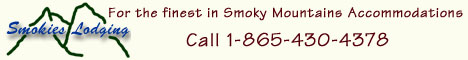 Smoky Mountain Cabin Rentals - Vacation in the Smokies Banner